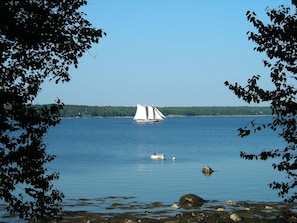 waterfront view of Eggemoggin  Reach at low tide with schooner