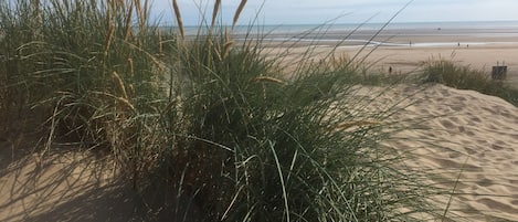 Sand dunes at Camber, three minutes walk