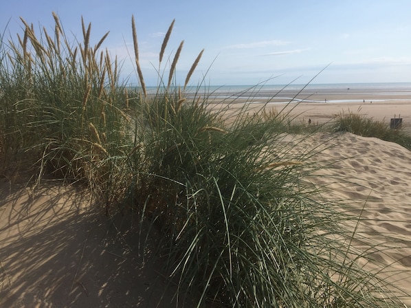 Sand dunes at Camber, three minutes walk