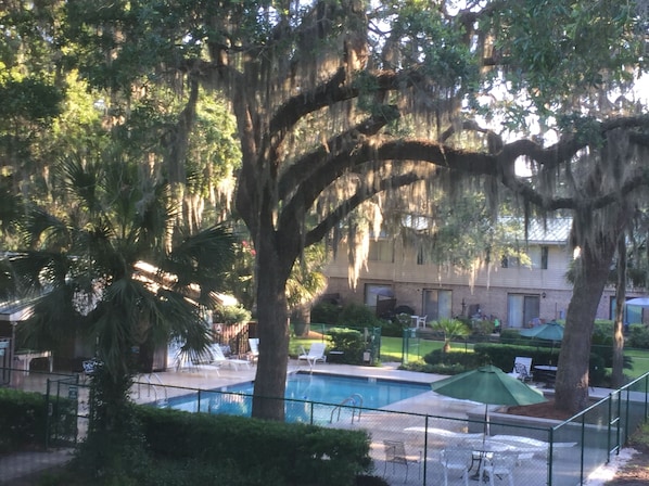 Back Patio Opens to the Pool
