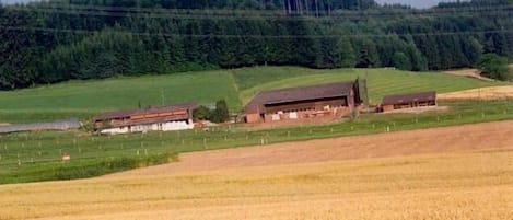 Ferienwohnung Stalder, Aesch