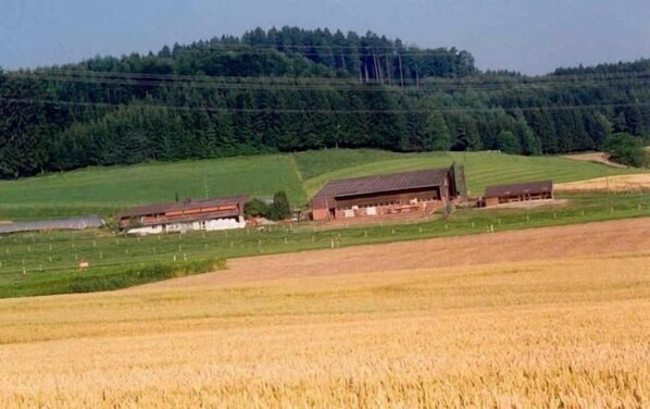 Övrigt