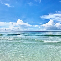 What you can expect to see at the Barracuda beach entrance