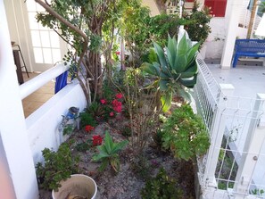 mature front garden