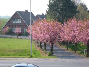 Boendeområde