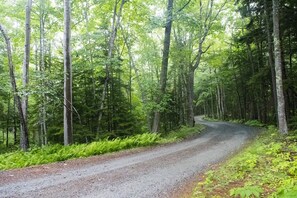 Enjoy a private oasis within walking distance of Acadia, the beach & Bar Harbor