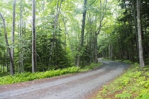 Enjoy a private oasis within walking distance of Acadia, the beach & Bar Harbor