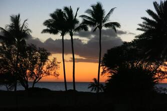 A Piece Of Paradise!