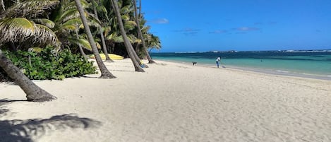 plage la plus proche, l'Anse Michel à 3 minutes
