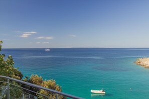 Beach/ocean view