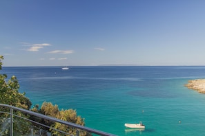 Beach/ocean view