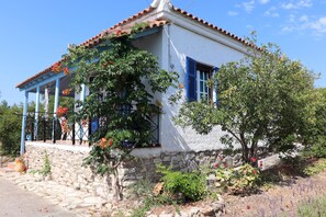 Main view