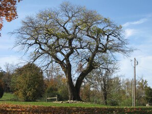 Unterkunftsgelände