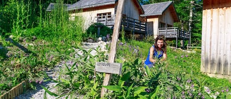 Le jardin des plantes médicinales et culinaires autour des éco chalets