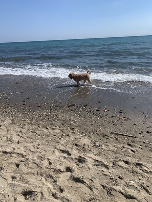 Plage