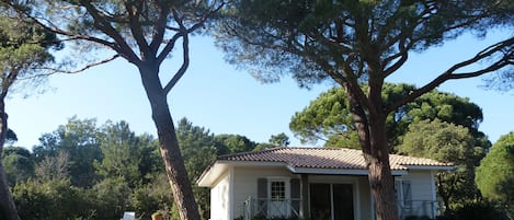 Maison en bois indépendante sur 500m² de terrain