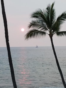 Ocean Front Paradise at Magic Sands Beach