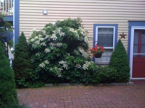 Courtyard facing the Cottage Entrance Door