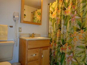 Full Private Bath Off Master Bedroom
