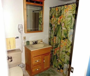 Full Private Bath Off Master Bedroom