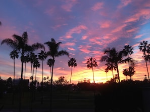 Sunset from TV room