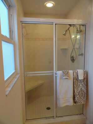 Master shower 