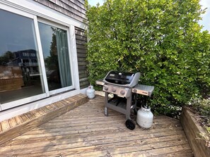 Weber Gas Grill
