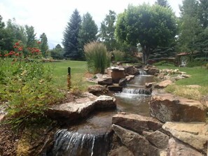 Stream and ponds 