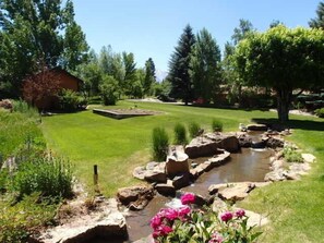 Front side yard as seen from side deck