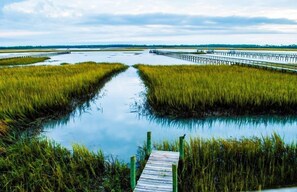 Wake up with this view and your day can't be bad!