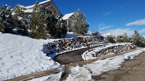 Winter Drive-way (left)