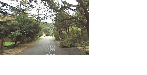 Quiet wooded area