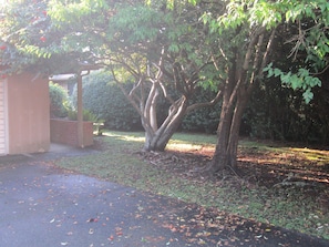 Front of home-Drive way and side yard. 