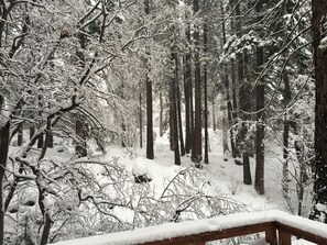 View from the deck on a snowy day.