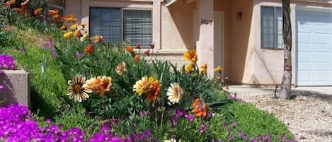 Sun City / Menifee- Beauty, Peace and Quiet