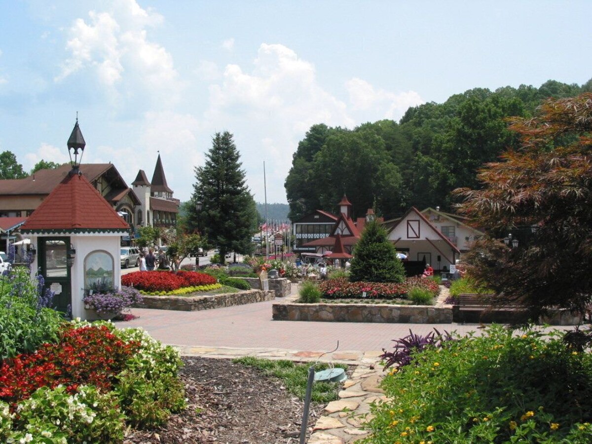 Main Image