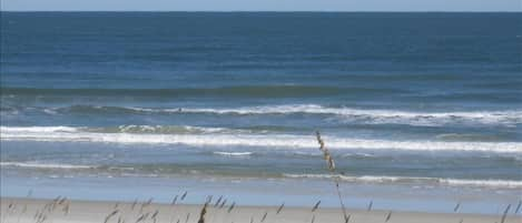 Oceanfront -  view from our ocean front deck and private dune walkover