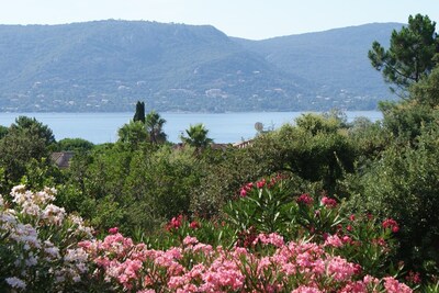 Ferienhaus - Porto-vecchio