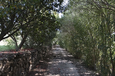 Casa con giardino tra il mare e la campagna