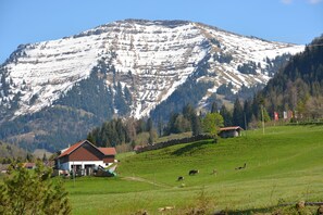 genießen Sie unsere unverbaute, schöne Aussicht !
