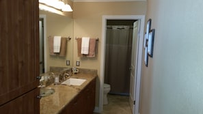 Master bath with tub and shower.