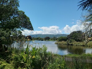 View from the back garden