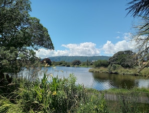 View from the back garden
