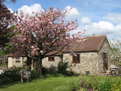 Rural Retreat - Premio de Oro, de 4 estrellas Barn en un jardín hermoso - 5 millas a Wells