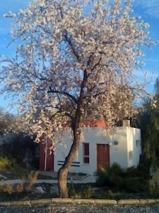 Casa rural (alquiler íntegro) La Aldea para 4 personas