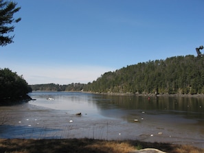 The Penobscot River's tides average 14'. This is the river at low tide.
