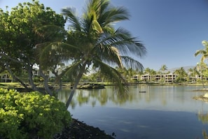 View of condos from the ocean over the fish ponds