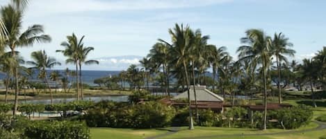 View from the living room and lanai.
