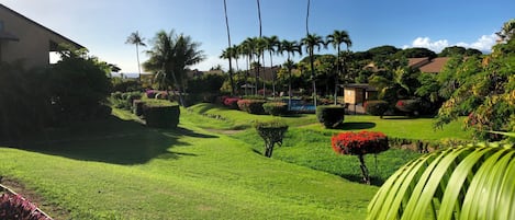 Beautiful Garden, Pool  & Ocean Views from Extra Large Lanai