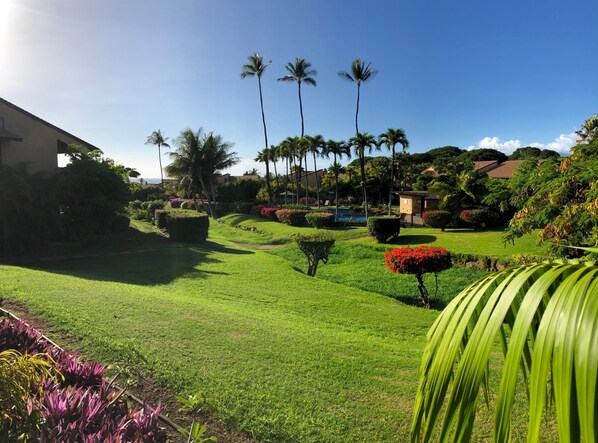 Beautiful Garden, Pool  & Ocean Views from Extra Large Lanai